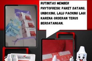 Orderan Phytofresh terus berdatangan